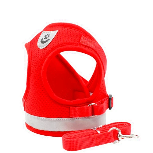 Aosory Cat and Small Dog Vest Harness and Leash Set, Mesh Harness with Reflective Strap, Step-in Adjustable Harness for Small Cats