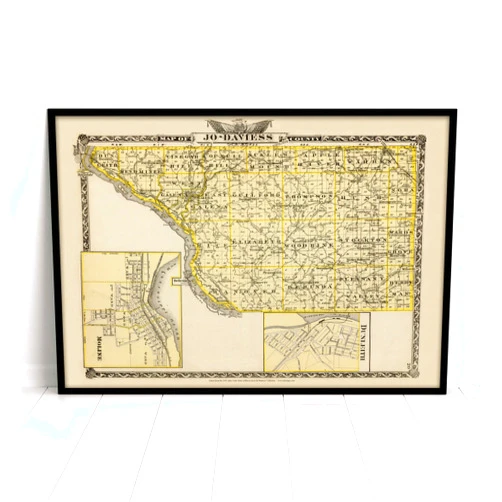 MG Global Historical Poster of Jo Daviess County Illinois 1876 Moline Dunleith Galena Genealogy IL State | 11x17 12x18 16x24 24x36 Unframed Print Wall Art for Gift | Vintage Antique Home Office Decor