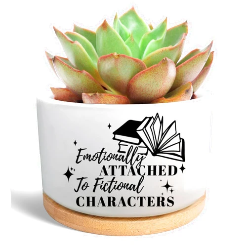 WSLCHOVE Funny Book Lovers Gifts Succulent Plant Pot, Flower Cactus Planter, Bookshelf Office Desk Decor, Reading Gifts for Women Readers Bookish Bookworm Book Club (Plants Not Included)