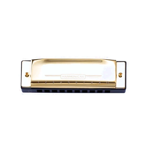 SUOFEILAIMU-PHONE CASE SUOFEILAIMU 10 Holes Harmonica Diatonic Blues Harp Mouth Organ Key of C Reed Musical Instrument for Beginner (Color : Golden)