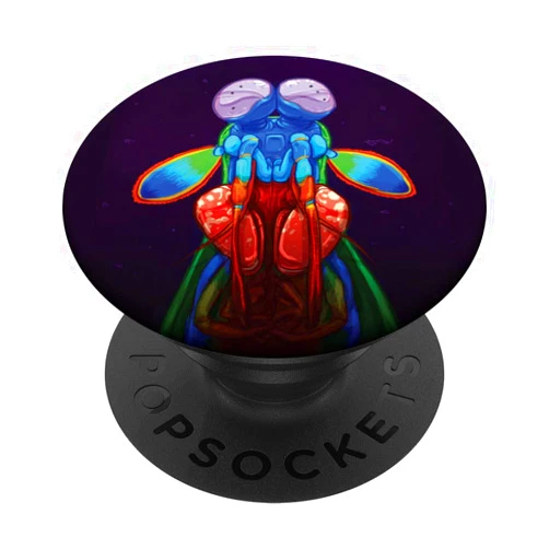 Rainbow Peacock Mantis Shrimp Gift Rainbow Peacock Mantis Shrimp - Beautiful Sea Creature Gift PopSockets Swappable PopGrip