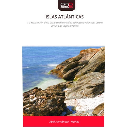 Abel Hernandez - Muñoz Islas Atlánticas (Spanish Edition)