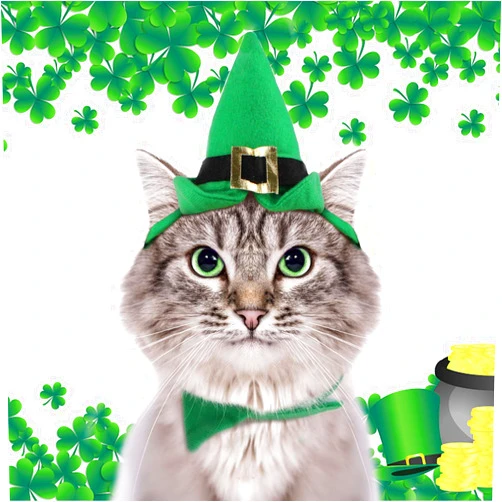 NAMSAN St Patrick's Day Pet Costume Irish Leprechaun Top Hat with Tie for Cats Small Dogs Mini Party Green Fedora Cat Party Outfit