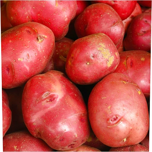 Cyber Sweetz Red Potatoes, 10 lb