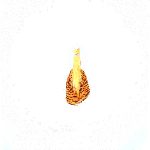 Zucker Feather Products Golden Pheasant Crest #1-Natural