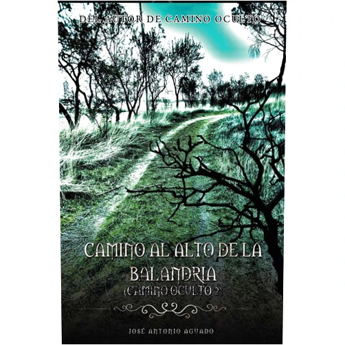 Jose Antonio Aguado Camino al Alto de la Balandria: Camino Oculto 2 (Spanish Edition)