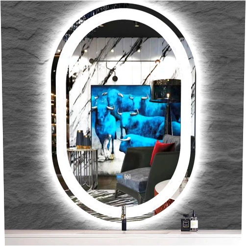 MEIOUKA 24 x 40 Inch Oval Lighted Vanity Mirror with Lights Oval LED Mirror for Bathroom Wall Oval Mirror with Lights Dimmable 3 Color 40 Oval Light up Mirror Anti Fog 40