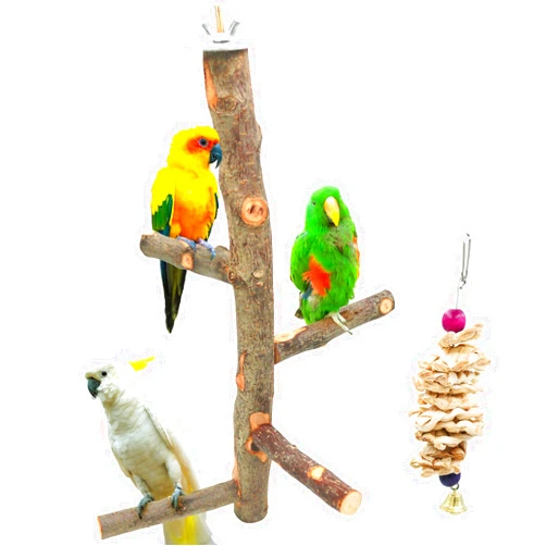 Suruikei Bird Perch Nature Apple Hard Wood Stand, Parrot Stand Toy Branch Platform Paw Grinding Stick for Small Parakeets Cockatiels Conures Parrots Love Birds Finches Cage Accessories (Set 1)