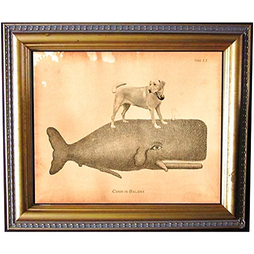 Handmade Yellow Lab Dog Riding Whale Vintage Collage Semi-Matte Photo Print Tea Stained Background dog art dog gift for dog mom gift for her dog novelty gift wall decor art print