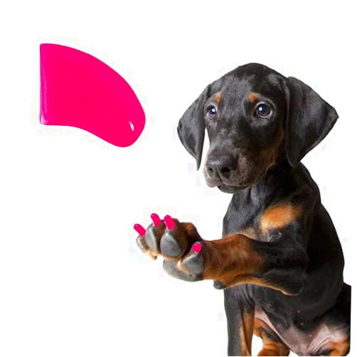 Pretty Claws 60 Piece Soft Nail Caps with Adhesive for Dog Claws - Fuscia Pink X-Large