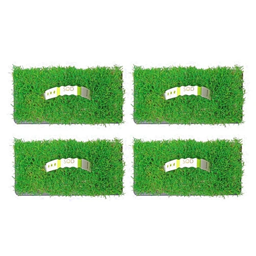 SOD PODS SodPods® Bermuda Grass Plugs (32-Count) Natural, Affordable Lawn Improvement - Cannot Ship to CA or AZ
