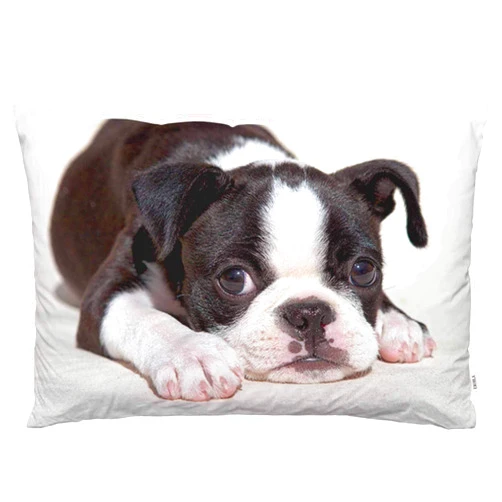 EKOBLA Throw Pillow Cover Boston Terrier Dog Dog Lovely Animal Art Cute Funny Pet Puppy Portrait Style Decor Lumbar Pillow Case Cushion for Sofa Couch Bed Standard Queen Size 20x30 Inch