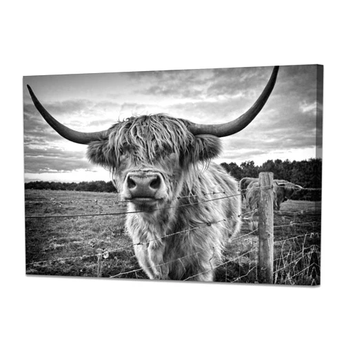 YIOZHAOFH Highland Cow Wall Art Animals Poster Black and White Framed Nature Prints Large Canvas Artwork for Living Room Farmhouse Wall Decoration(60x90cm)