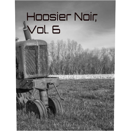 N.B. Turner,Shari Held,Robb White,Joel Nedecky,Brian Beatty,Larry D. Sweazy,Charlie Kondek,Travis Wade Beaty Hoosier Noir, Vol. 6