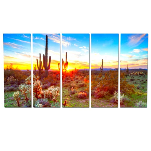 sechars Extra Large 5 Piece Arizona Painting Sonoran Desert at Sunset Picture Print on Canvas Arizona Cactus Landscape Artwork for Living Room Each Piece 12