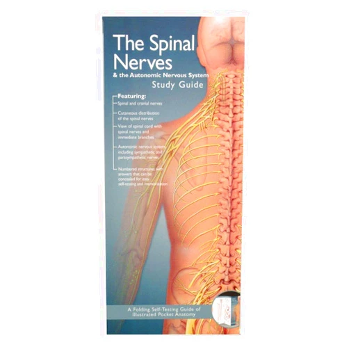 Anatomical Chart Company's Illustrated Pocket Anatomy: The Spinal Nerves & the Autonomic Nervous System Study Guide