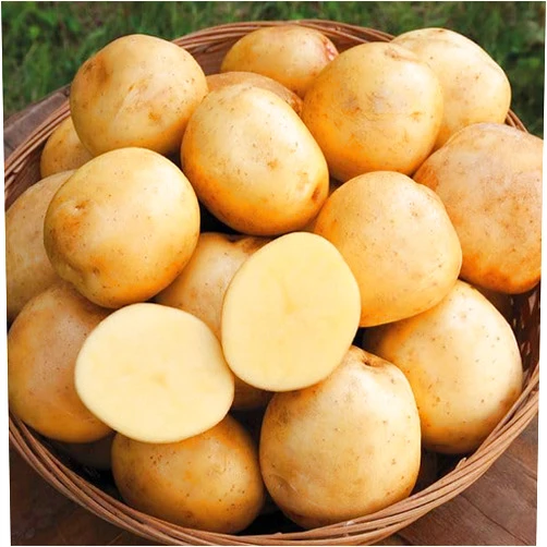 Generic Yukon Gold Fresh Yellow Potatoes, USA GROWN, NON-GMO, Bulk (20 Pounds)