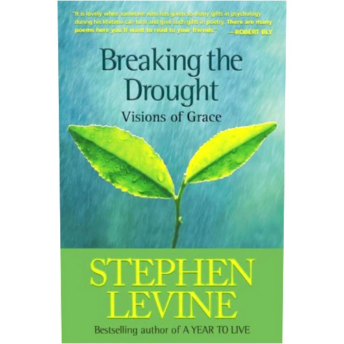 By Stephen Levine (Author) Breaking the Drought: Visions of Grace