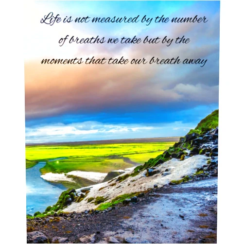 Robin Tiburcio Life is not measured by the number of breaths we take but by the moments that take our breath away 8