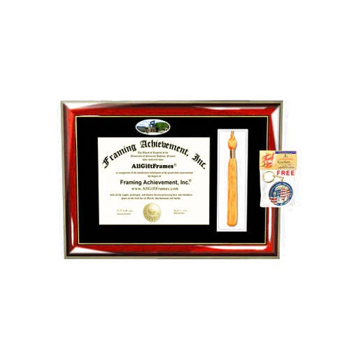 AllGiftFrames Franklin University Diploma Frame Tassel Holder Box Campus Picture Degree School Fisheye Case Certificate Plaque Framing Graduation Gift Campus Bachelor Master Doctorate PHD