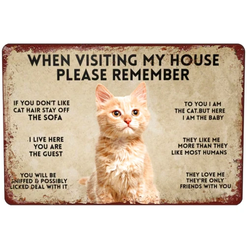DHKDQQW When Visiting My House Please Remember Retro Metal Tin Sign Cats Poster Cat Wall Decor For Home Garden Bar Restaurant Cafe Office Store Pubs Club Sign Gift Plaque Tin Sign 12x8 Inch