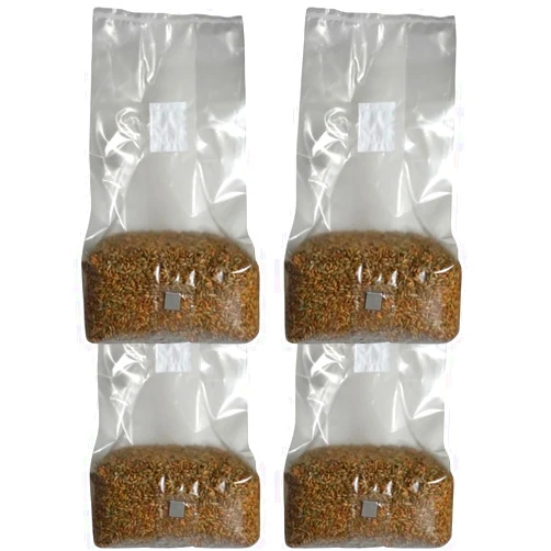 MushroomSpawnStore.com 5lb Organic Sterile Mushroom Grain Spawn | Injector Port Grow Bags, Hydrated, Ready to Inoculate (Pack of 4) | Made in USA