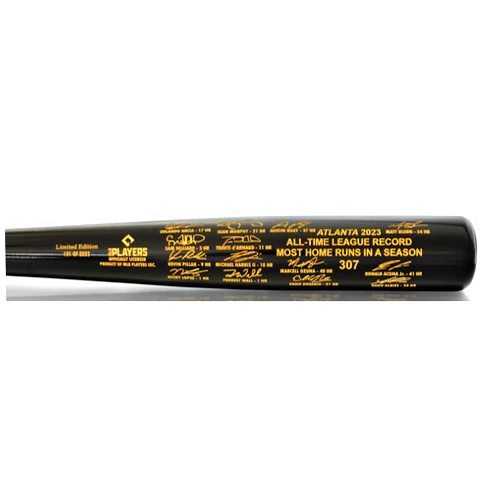 BIG TIME BATS Atlanta All-Time Season Home Run Record Team Signature Bat