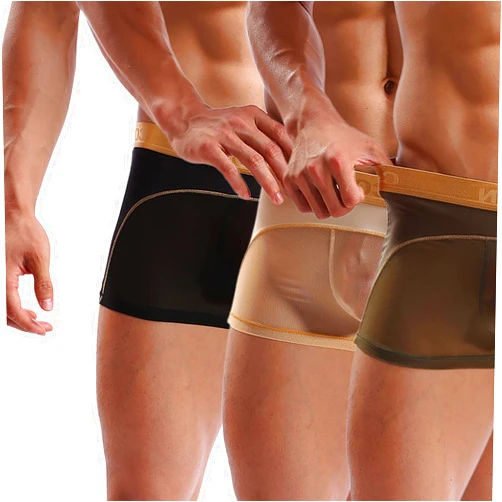 EXmalAia Men's Underwear Sexy Mesh Breathable Boxer Briefs Low Rise Cool Boxers Pack Set