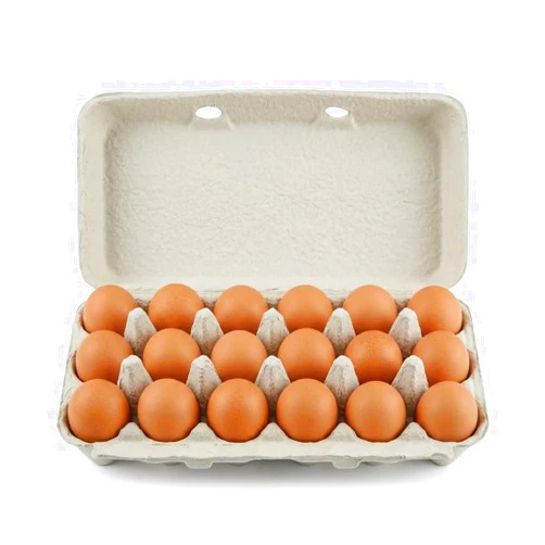 bark and lindy Paper Pulp Egg Cartons for 18 Eggs or Use for Crafting, Parts Storage, Easter (15)