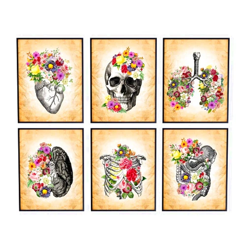YELLOWBIRD ART & DESIGN Medical Art Set - Retro Vintage Anatomical Wall Decor for Home, Doctors Office, Clinic, Med Student Dorm Room - Gift for Nurses, Physicians Assistant, PA - Floral Anatomy Shabby Chic Posters
