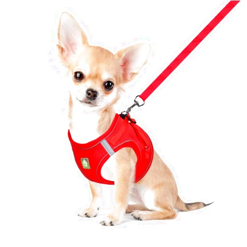 FEimaX Dog Harness and Leash Set, No Pull Soft Mesh Reflective Escape Proof Small Dog Cat Vest Adjustable Pet Outdoor Harnesses for Puppy Kitten Rabbit