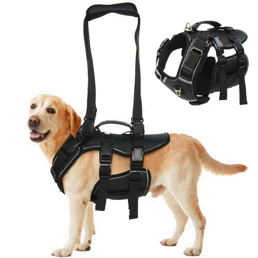 ROZKITCH Dog Lift Harness, Pet Chest Rear Support Aid Veterinarian Approved Sling for Old K9 Help with Poor Stability, Back Leg Hip Disabled Joint Injury Elderly Arthritis ACL Rehabilitation Rehab L