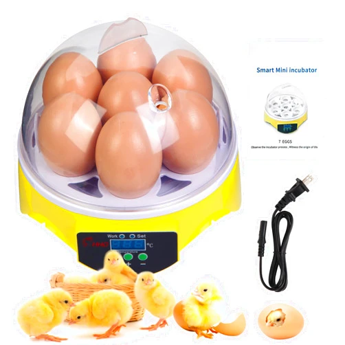 ZEMIRO CHARGE 7-Egg Incubator 360° View Poultry Incubator with Manual Temperature Control for Hatching Chicken, Duck, Goose, Parrot, and Quail Eggs