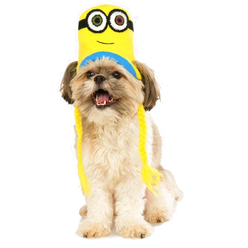 Rubies Minion Bob Knit Dog Headpiece, Medium/Large