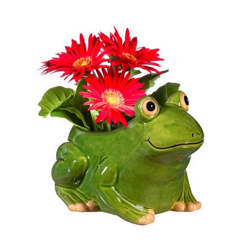 Cape Craftsmen Beautiful Springtime Classic Resin Animal Shaped Statue and Planter Pots for Indoor Plants - Small Planter Decoration for Homes, Apartments, Yards and Gardens (Frog)