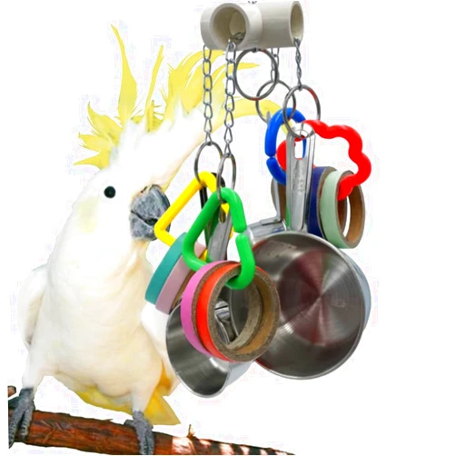GILYGI Pullable Parrots Pots and Bagel Toys, Bird Stainless Steel Cup and Cardboard Ring Toys for Medium and Large Parrot Amazons Mini Macaws African Greys Cockatoos Eclectus Guaker