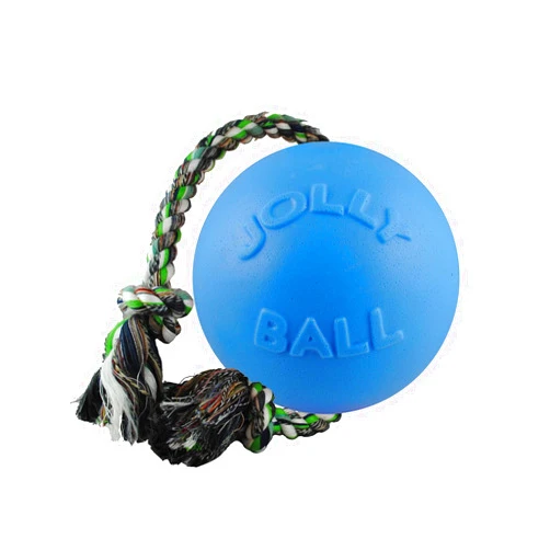 Jolly Pets Romp-n-Roll Rope and Ball Dog Toy, 6 Inches/Medium, Blueberry, Model Number: 606 BB, All Breed Sizes