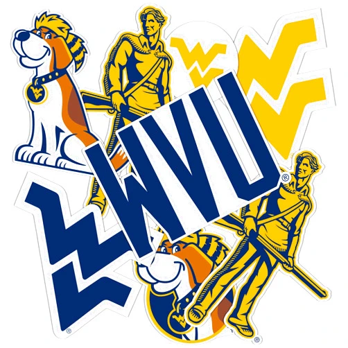 Desert Cactus West Virginia University Stickers WVU Mountaineers Stickers Vinyl Decals Laptop Water Bottle Car T2 (Type 2-2)