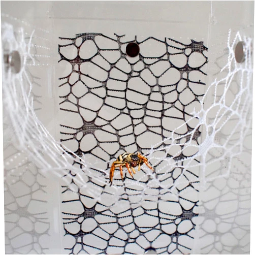 JJMOLLE Jumping Spider Enclosure Accessories, 4 PCS Jumping Spider Netting with Magnets, Jumping Spider Habitat Accessories, Tarantula Praying Mantis Enclosure Accessories (2 Black and 2 White)