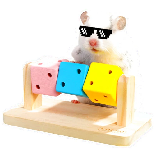 Wenriko Hamster Enrichment Toys, Hamster Chew Toys, Wooden Hamster Cage Accessories, for Syrian & Dwarf Hamsters, Gerbils, Rats