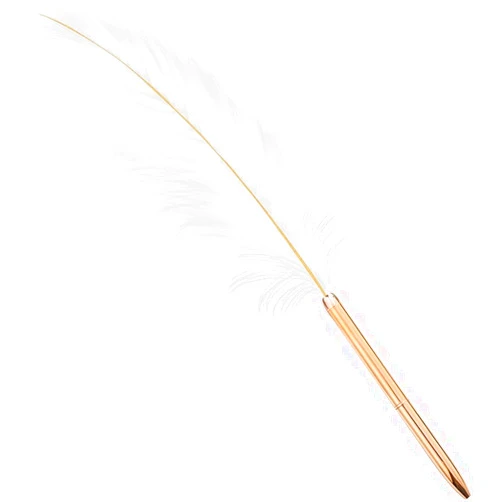 Jowxsx White Exquisite Feather Pen Metal Ballpoint Pen Refillable Ballpoint Pen Plating Pen Gift for Women Men Teacher Ballpoint Pens Black Fine Point Pens and Refills
