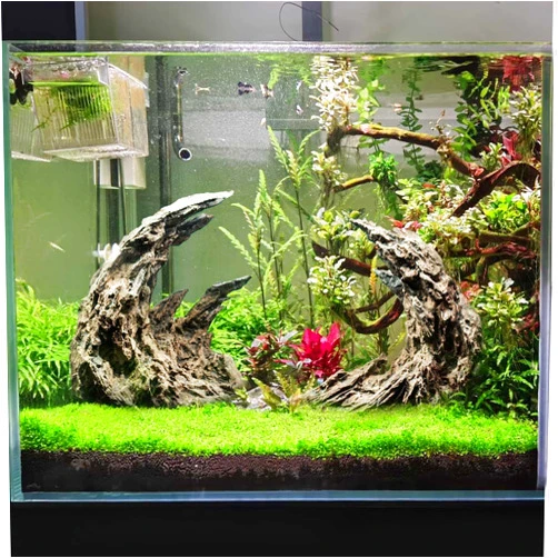 Novelsite Fish Tank Decor Rocks Aquarium Ornaments,Aquarium Rocks Aquascaping,Sandstone Fish Tank Decor,Natural Rocks for Aquariums,Paludarium,Terrariums,and Rocky Peaks,Yellow Color