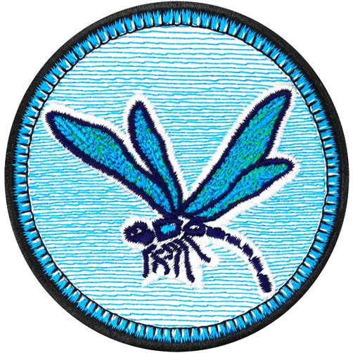 EXPRESS-STICKEREI Dragonfly patch animals wildlife iron-on emblem | Embroidered Artwork Gift | insects badge save The world |outdoor bugs nature sticker | sew on for all fabrics 2.75X2.75 in