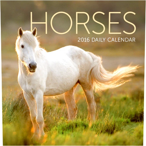 Turner Horses 2016 Photo Daily Boxed (8970009)