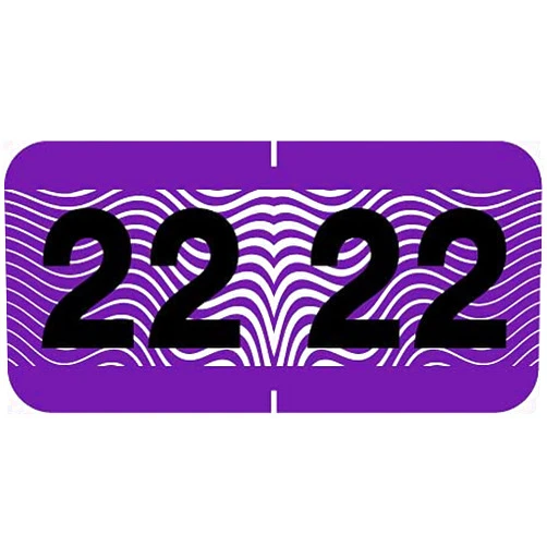 Doctor Stuff - 2022 Year Stickers, Control-o-Fax Compatible Series, Purple/Black Colored Year Labels for End Tab File Folders, 500/Roll, 1 Roll, 3/4