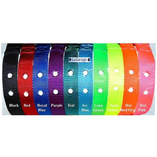 CollarSafe 1