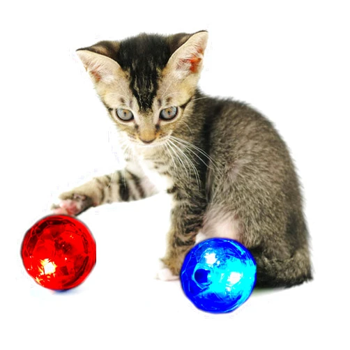 Dadanfly 2 Pieces LED Motion Activated Ghost Hunting Cat Ball Light Up Paranormal Investigate Cat Balls Interactive Fashion Lighted Glow Jumping Running Exercise Pet Ball Toys for S M L Pets Activity