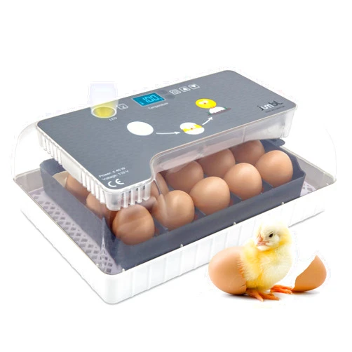 Jumbl Clear Egg Incubator, Fully Automatic Digital Poultry Hatching Machine, Temperature Control & Automatic Egg Turner, LED Candler, Mini 12-35 Egg Incubator Breeder for Chicken, Ducks & More