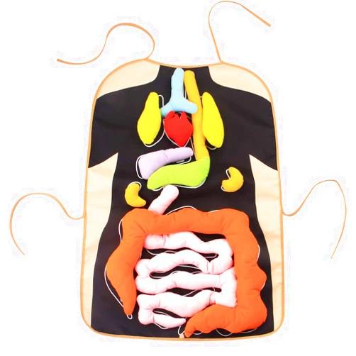KAKIBLIN 3D Organ Apron, Anatomy Apron Human Body Organs,Human Body Anatomy Toy Awareness Educational Toy Learning Toys for Boys Girls Home Preschool Teaching Aid, Black
