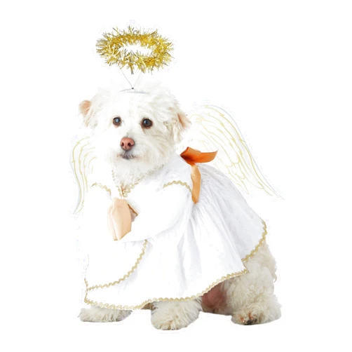 California Costumes Heavenly Hound Pet Costume Large